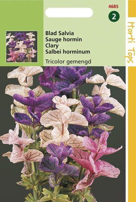 Hortitops Zaden - Salvia Horminum Tricolor Gemengd