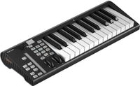 iCON Pro Audio Artist 25X USB/MIDI keyboard