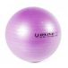 Olive Fitball Fitness