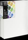 Liquitex Basics Canvas Set 3x 30x40 cm
