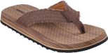 Skechers Tantric - Fritz 205098-BRN