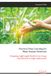 Practical Deep Learning for Plant Disease Detection: Designing Lightweight Models from Image Classification to Edge Deployment