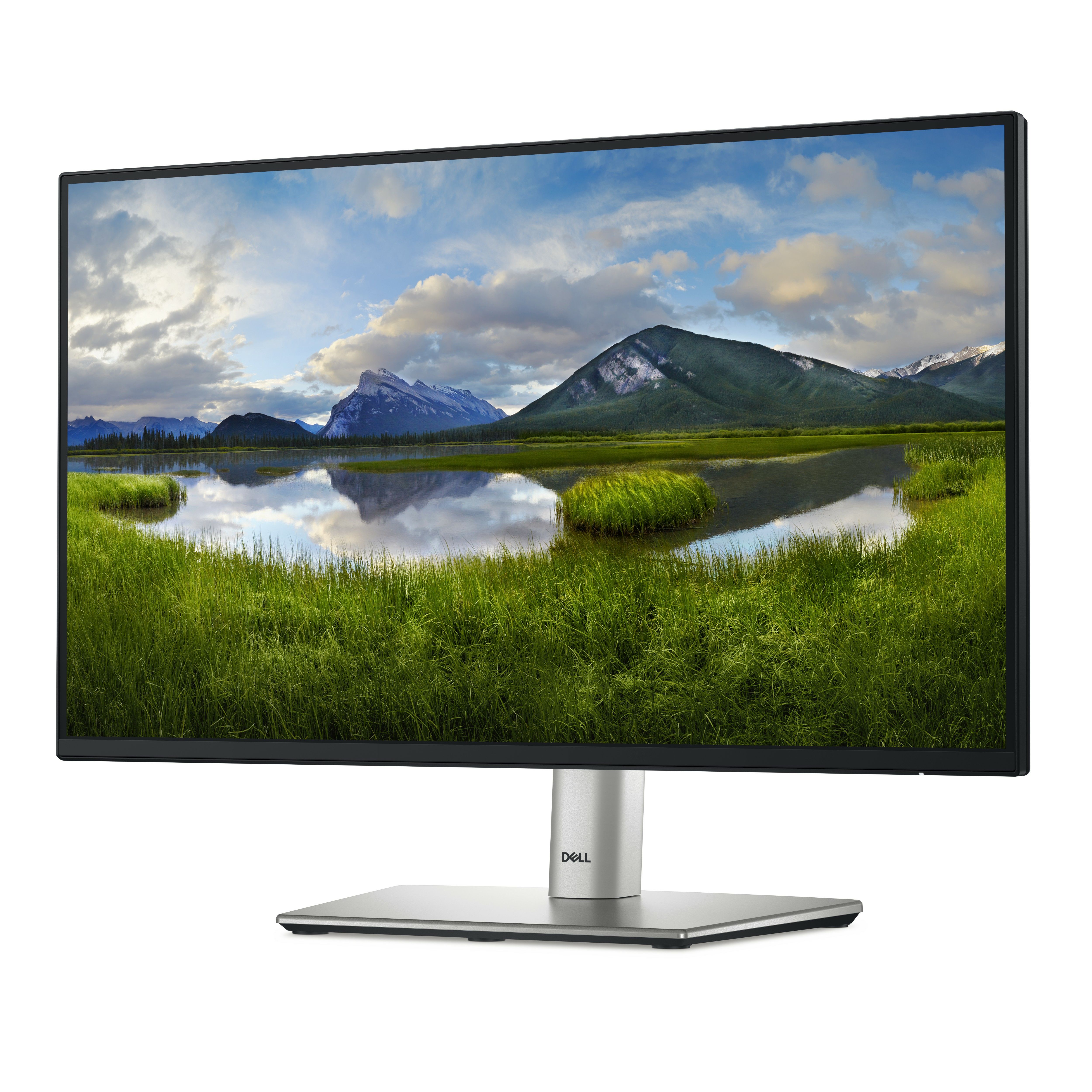 Dell P2225H 21.5" Full HD Monitor - 100Hz, IPS, HDMI, USB-C
