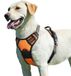Merkloos Hondenharnas No Pull - Tuig voor grote honden - Oranje - Maat L - Voor wandelen en training