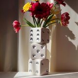 Reimagine Discovery Triple Dice Vaas (witte body + zilveren stippen)