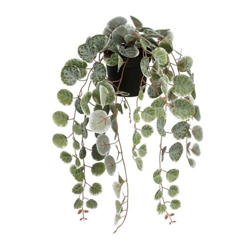 Mica Decorations Ceropegia Woodii hangend kunstplant