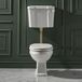 Hudson Reed Richmond Toilet met Laaghangend Reservoir en Satijn Goud Toilettrekker en Valpijp - Inclusief Witte Toiletzitting
