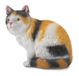Collecta Chat (S): CHAT DOMESTIQUE AVEC 3 COULEURS ASSIS 5x3,5x4cm