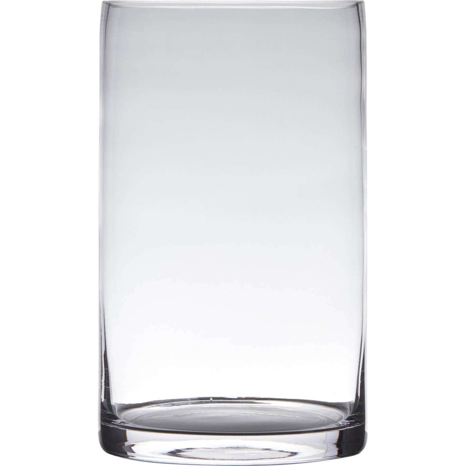 Hakbijl glass Cilinder vaas van glas 30 x 15 cm - Transparant