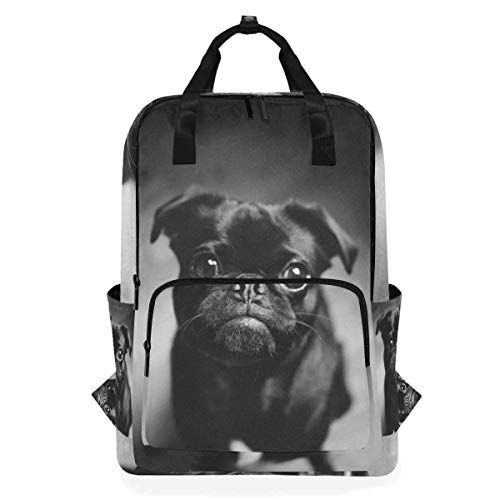 MONTOJ Travel Rugzak Leuke Dull Zwart Pug School Rugzak - 5712279552443