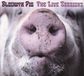 The Blodwyn Pig The Live Sessions