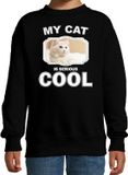 Bellatio Decorations Bol Witte kat katten trui / sweater my cat is serious cool zwart - kinderen - maat 152/164