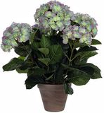 Mica Decorations Hortensia lichtpaars in pot stan grijs d13,5 - 45 x 45 cm