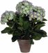 Mica Decorations Hortensia lichtpaars in pot stan grijs d13,5 - 45 x 45 cm