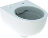 Geberit Renova Compact WC diepspoel concealed Rimfree 49cm tect/wit