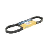 Dayco 8230K gestreepte riem