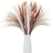 Unyqoos® Set van 64 Droogbloemen