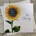 WHITE COTTON CARDS I'm Sorry Sunflower PD253 wenskaart, handgemaakt, wit