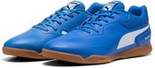 Puma Truco III Chaussures de futsal Bleu EU 43 Homme
