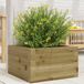 Maison Exclusive - Jardinière 40x40x23 cm, en pin imprégné