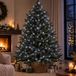 Lumineo Kerstverlichting - 480 LED - Helder Wit - Voor Buiten