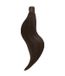 Rapunzel of Sweden Queue de cheval Lisse / À clip / Volume moyen 2.3 Brun chocolat 50 cm Extensions de cheveux