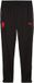 Puma AC Milan Trainingsbroek Heren Zwart XL