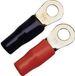 Sinuslive Car-Hifi ringkabelschoen Set van 4 stuks 25 mm² 8 mm