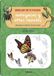 DIBUJAR MARIPOSAS Y OTROS INSECTOS EN 10 PASOS: COMO DIBUJAR 55 INSECTOS EN SOLO 10 PASOS