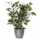 Mica Decorations Ficus kunstplant - groen/wit - 40 cm - met plantenpot - zilver - keramiek - D13.5 en H12.5 cm