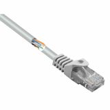 Renkforce RF-5043978 Câble réseau Gris 0,15 m Cat5e U/UTP