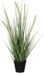 Mica Decorations Dogtail Herbe Plante Artificielle - H53 x Ø30 cm - Vert