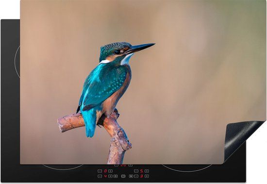 KitchenYeah® Inductie beschermer 77x51 cm - IJsvogel - Portret - Tak - Inductie kookplaat accessoire