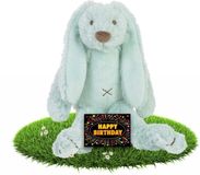 Happy Horse Verjaardag knuffel konijntje Richie mintgroen 28 cm - incl. gratis verjaardagskaart