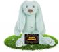 Happy Horse Verjaardag knuffel konijntje Richie mintgroen 28 cm - incl. gratis verjaardagskaart