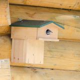 CJ Wildlife Nestkast voor de Spreeuw - 45mm - Nestkastje met Balkon - Houten Vogelhuisje - FSC-gecertificeerd