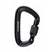 Black Diamond LiteForge Screwgate Karabijn - Zwart