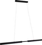 Paulmann Puric Aptare - Hanglamp - LED - Zwart - Dimbaar - Smart Home - 180cm