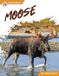 Moose Hoofing It- Moose Hardcover