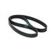Ina FB 5PK975 tandriem