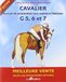 Cavalier Cavalier 5, 6, 7 et degré 2 - manuel de préparation aux examens fédéraux