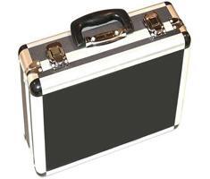 Ledgo LG1200 Hard case (for 2pcs)