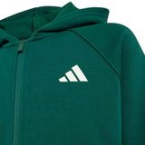 ADIDAS J CLGT FZ HD Groen Unisex Polyester Lange mouw Herfst/Winter 2026