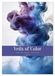 Veils CALVENDO Veils of Color - Minimalist fluid art compositions (Wall Calendar 2027 DIN A2 portrait)