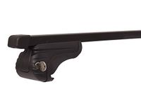 Mont Blanc 230110 Dakdragers Activa 109 Staal