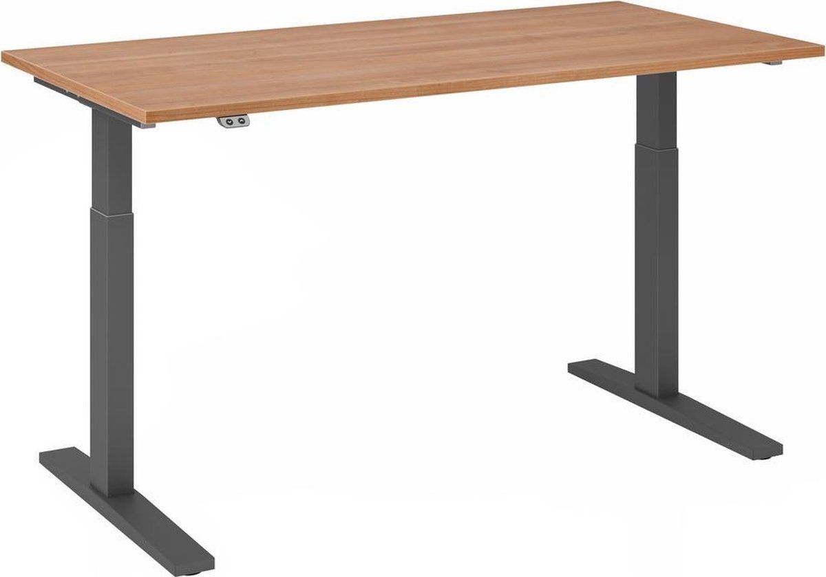 hjh OFFICE PRO Bureau - In Hoogte Verstelbaar - Meerkleurig - Xmka 16 G - 160x80