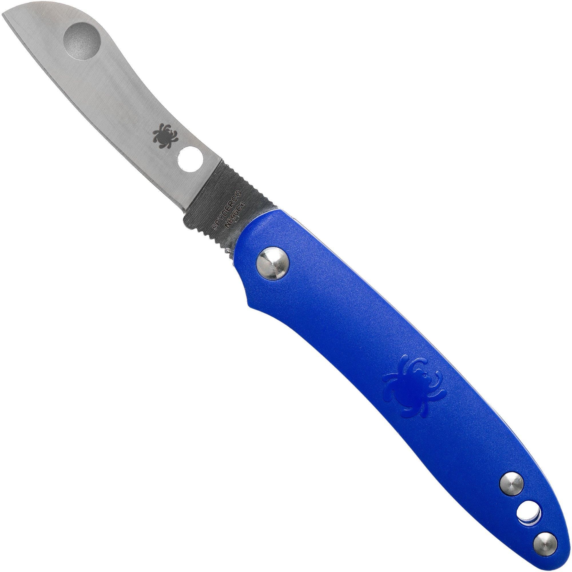 Spyderco Roadie Blue C189PBL zakmes