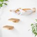 Chat suspendu Chat mur set - 3 pièces - Sisal et marches en bois - Noir