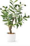 PASCH Kunst Olijfboom (42 cm) in witte keramiek pot