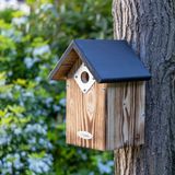 C J Wildlife CJ Wildbird Foods Europe Protector Nestkast Bandera 32 mm